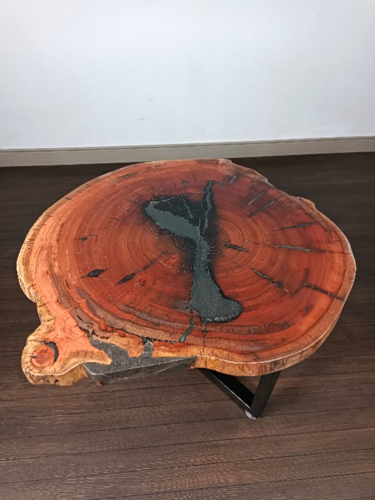 Amazing Eucalyptus Epoxy Table