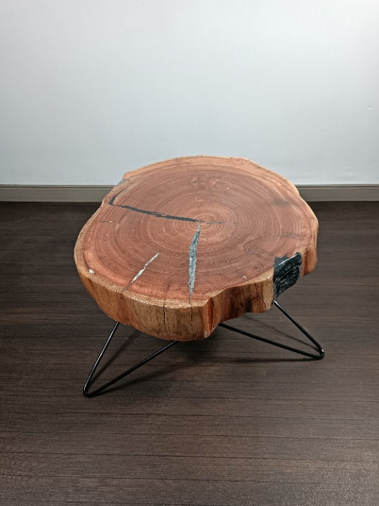 Eucalyptus epoxy coffee table