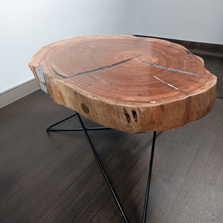 Eucalyptus epoxy coffee table