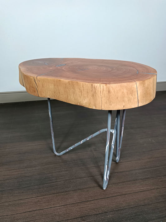 Table basse en eucalyptus massif et résine – Style organique