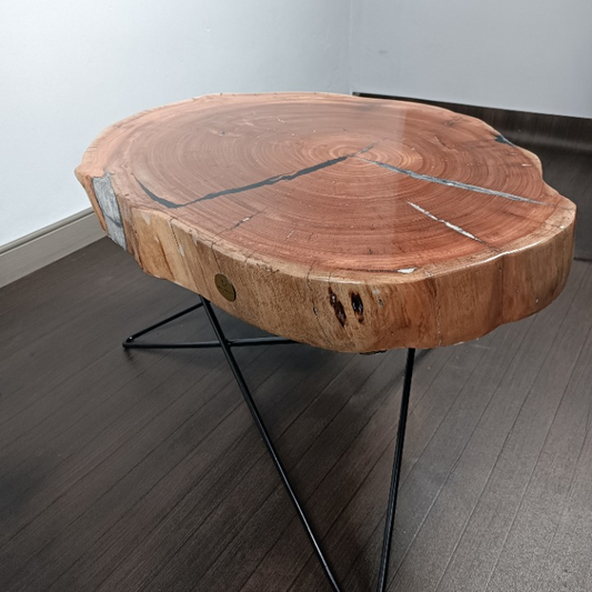Eucalyptus epoxy coffee table
